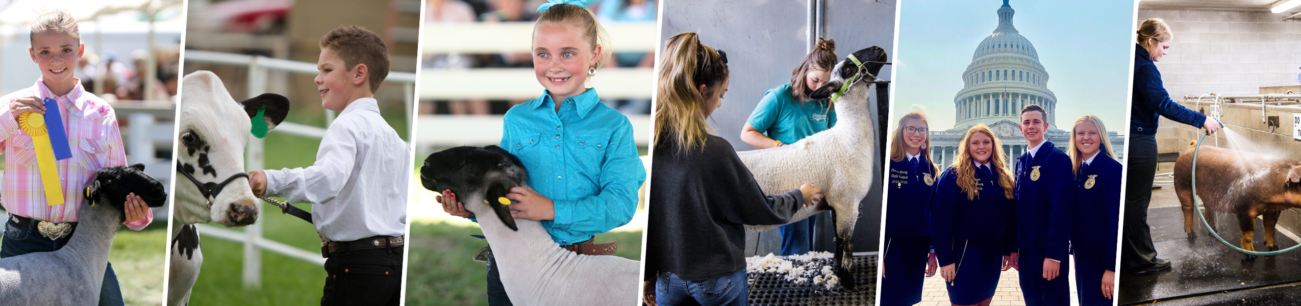 4-H Page Banner