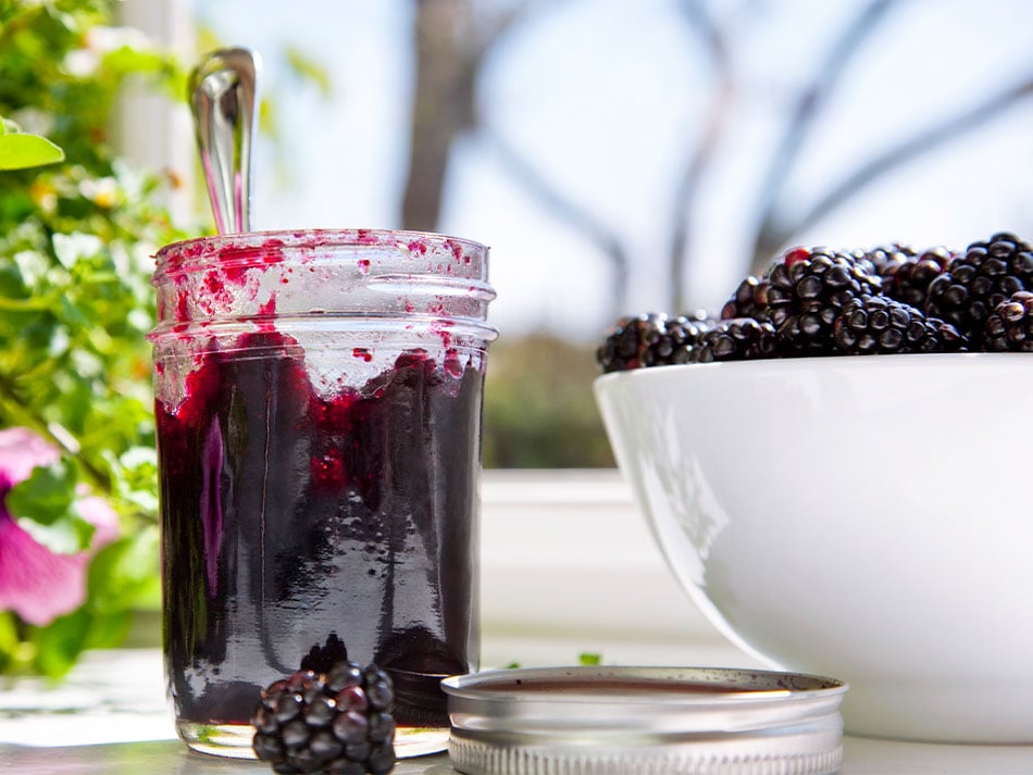 cfr_base_imagery_blackberries_jam_20230622-Blog.jpg